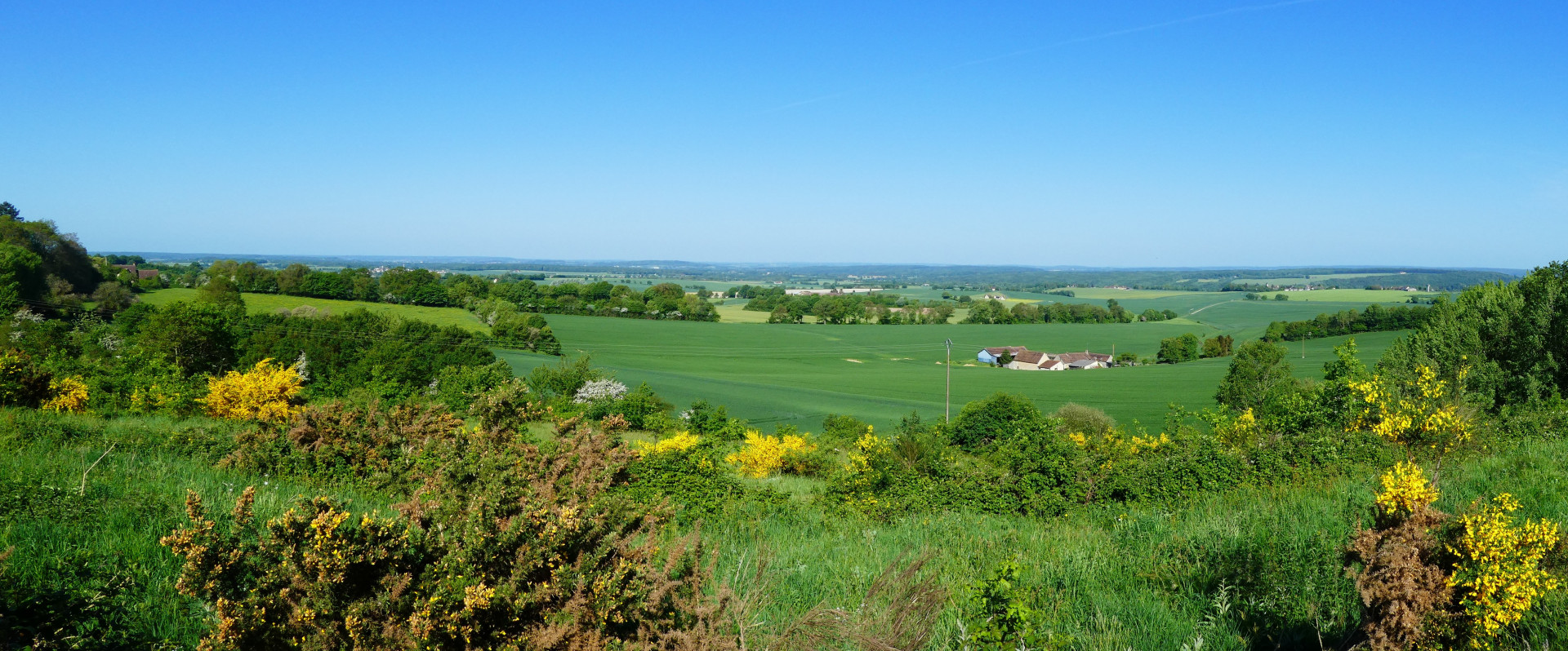 Description de l'image