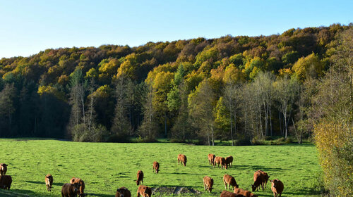 La vallée de la Cloche 