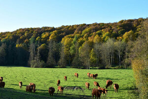 La vallée de la Cloche 